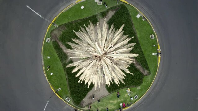 Cenital drone shot of dry simbolic palm at Paseo de la reforma in Mexico city