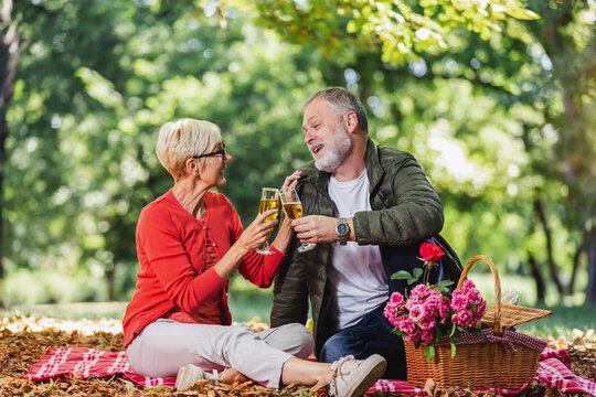Happy senior couple having a picnic in park, making a toast.