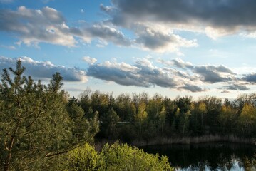 landscape of nature . sky and clouds on the background of the forest