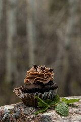 cupcake in the woods