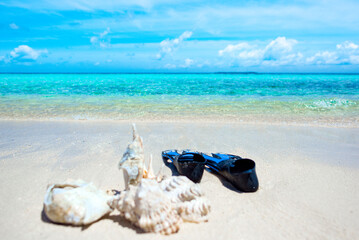 Underwater shells and flippers on the sand on the shore of the Indian Ocean.