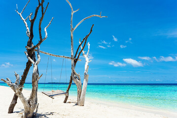Wooden swing on the shore of the Indian Ocean. Maldives.