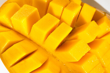 Juicy ripe yellow Thai mango on a white background. Hard light and shadow from a palm tree.
