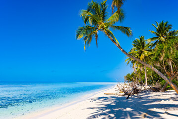 Shoreline of a tropical island in the Maldives and view of the Indian Ocean.