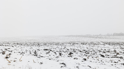 Field under the snow