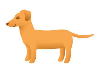 Happy dachshund dog vector in cartoon style