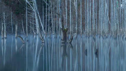 reflection in water