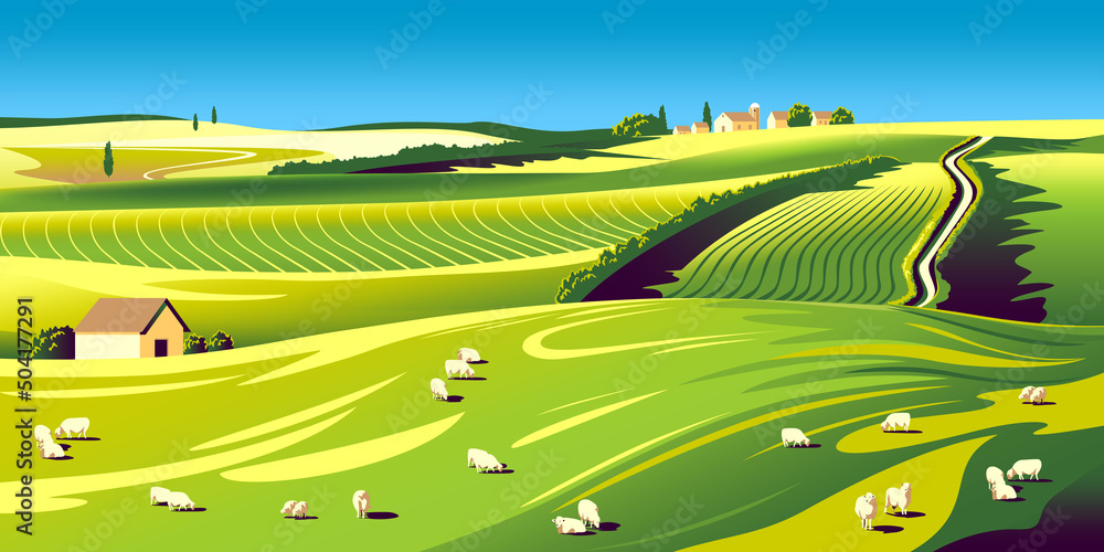 Wall mural Summer rural landscape with house, sheeps, fields, meadows and hills in the background. Handmade drawing vector illustration.