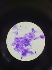 human saliva in its most beautiful form