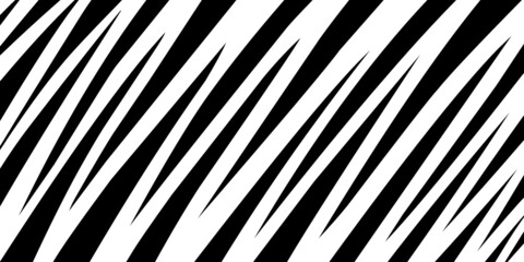 Simple black and white zebra texture abstract background