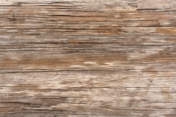 Wood Texture With Natural Pattern