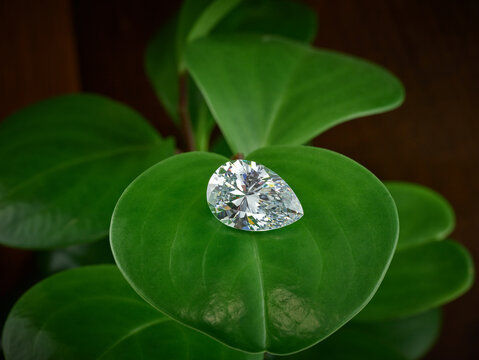 Pear Shaped Lab Diamond. Ethical Diamond on Green Leaf Background. 