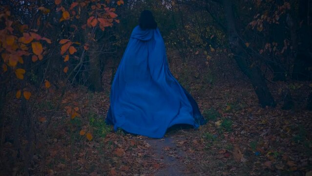 fantasy gothic mysterious woman runs in autumn forest dark night trees, mystic path. Long train cloak cape blue vintage silk dress fluttering in wind motion. Princess girl runs away. Back rear view