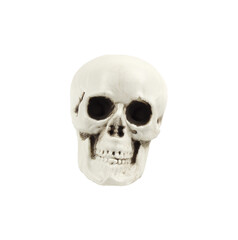 Full face of artificial decorative skull for the Halloween decoration isolated
