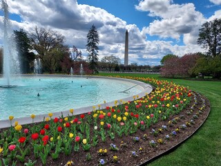 fountain in the park