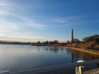 bridge over the river