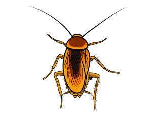 cockroach symbol and sign for illustration design in editable vector format