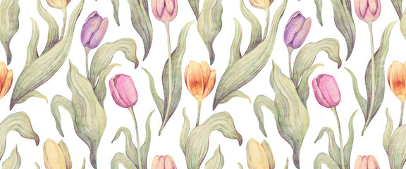 Watercolor floral hand drawn seamless pattern with delicate illustration of blossom pink, yellow, purple tulips. Colorful spring flowers, buds wallpaper. Garden elements isolated on white background