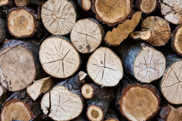 Wood texture.Pile of cut timber background.