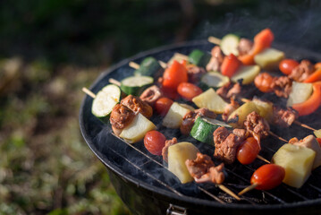 Pieces of roasted meat and vegetables on grill rack at home backyard on sunny summer day