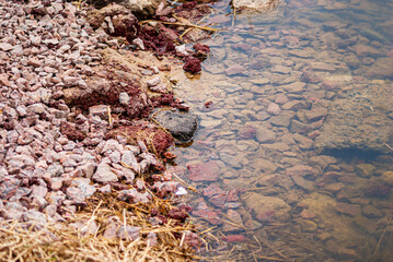 Stones and red clay and transparent puddle