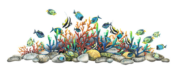 Coral reefs with various tropical fish, pebbles, algae and sea sponges. Bright, juicy, watercolor illustration. A board for the design of banners, souvenirs, postcards, posters, design and printing. © NATASHA-CHU