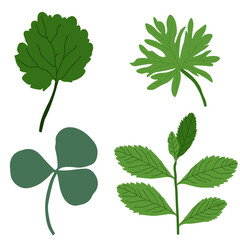 vector illustration set of field plants