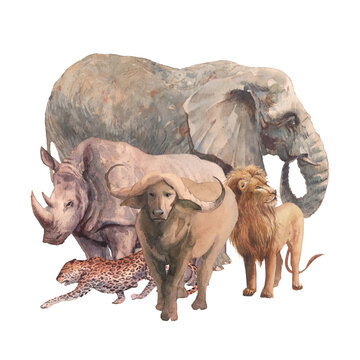 Big african five animals illustration. Watercolor painting of safari fauna. Wild life artwork