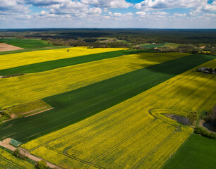 Obraz premium landscape with field and sky