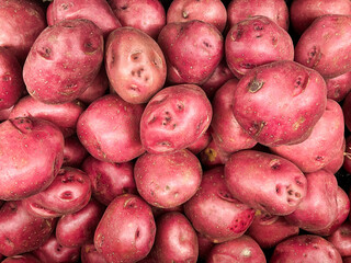 Red Duke of York potatoes on display at the supermarket.
