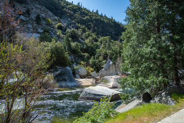Fototapeta na wymiar Landschaft mit Bach im Yosemite National Park