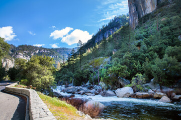 Landschaft mit Bach im Yosemite National Park