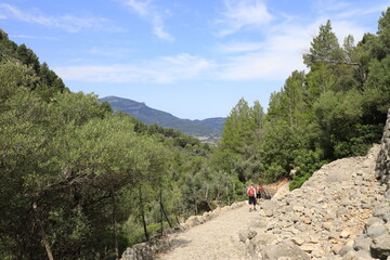 Gente practicando senderismo por un camino empedrado de las montañas de la Serra de Tramuntana de...