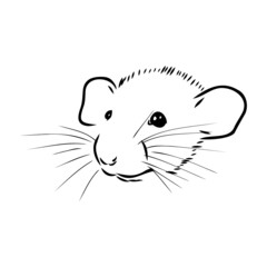 Rat sketch drawn by hand. Black and white vector illustration.