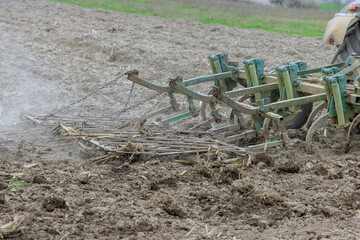 Tractor crushes soil for ready to sowing crops. Agriculture industry.