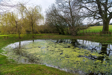 Benbow pond in Herefordshire, England.