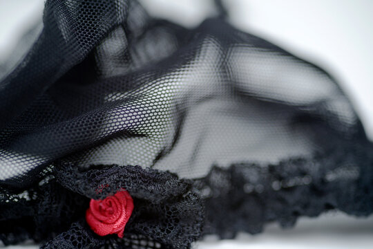 Red Rose And Sheer Black Lace