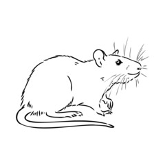 Rat sketch drawn by hand. Black and white vector illustration.