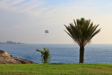 Skydiving skydiver and passenger tandem parachute approach on tropical palm trees beach ocean...