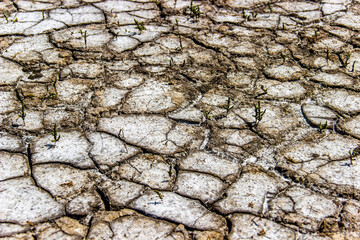a cracked ground of a dried lake on steppe near the Sea of Azov, Ukraine