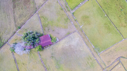Aerial view of paddy terrace at Keningau, Sabah Borneo.