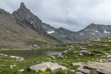 Fototapeta na wymiar Lac Blanchet inférieur , paysage du Queyras en été , hautes-Alpes , France