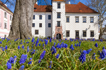 Obraz premium Trebon castle and town, Southern Bohemia, Czech Republic