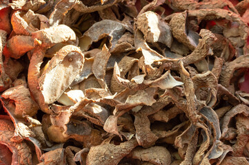 abstract background with potato peels