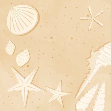 Cute seashell background image on the sandy beach