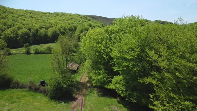 Beech forests and pastures in spring. Belate. Navarre