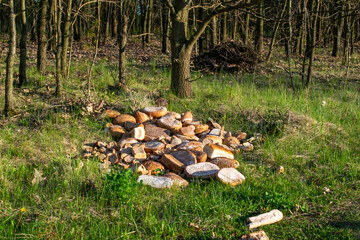a pile of bread thrown away by the forest, bait.