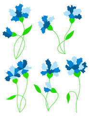 Blue flower centaurea floral cartoon set isolated illustrations
