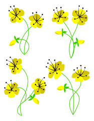 Yellow flower on stem floral set cartoon isolated illustrations