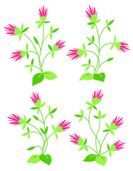 Fototapeta na wymiar Clover flower on stem floral set cartoon isolated illustrations
